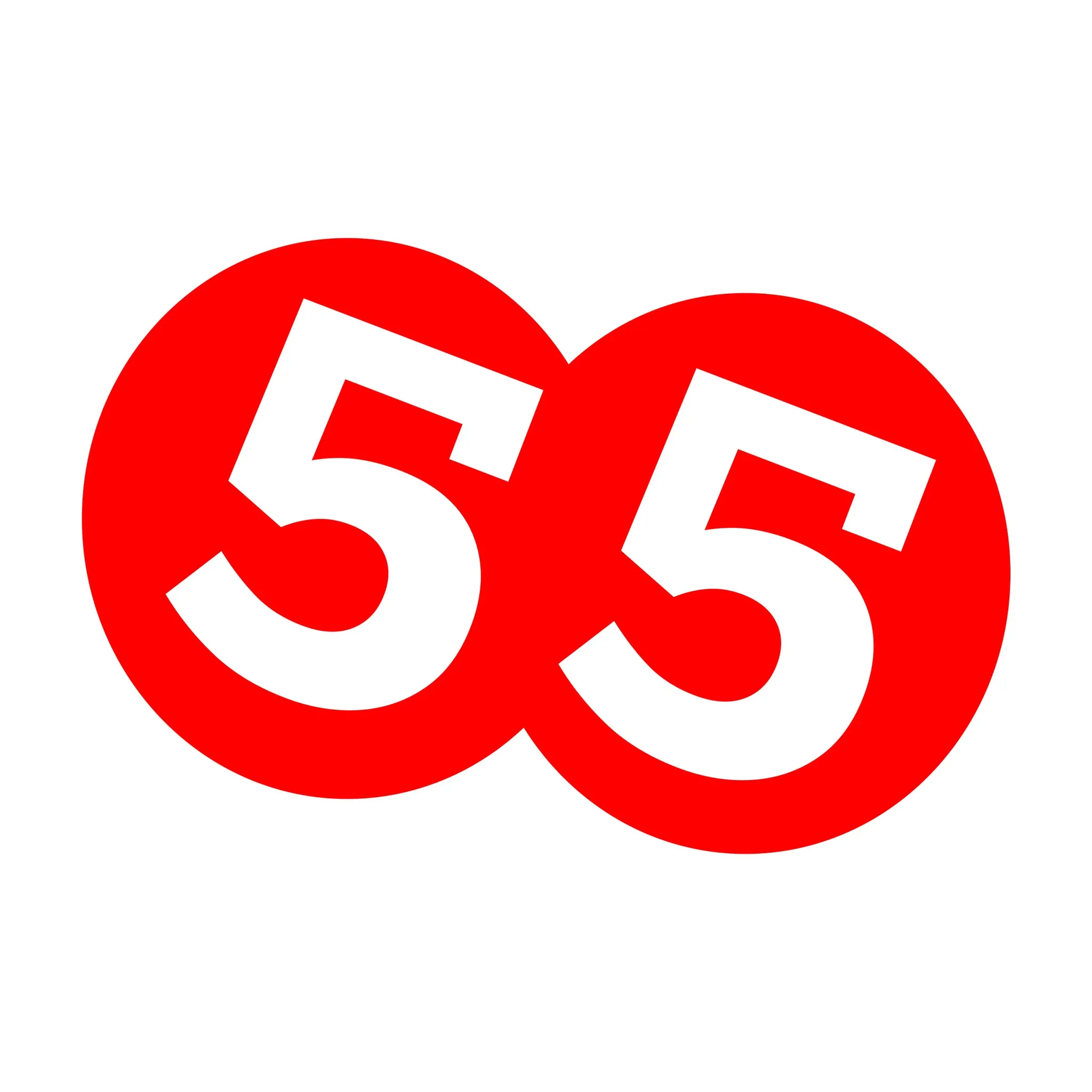 55FIVE - Petualangan Tak Terbatas di Dunia Terbuka